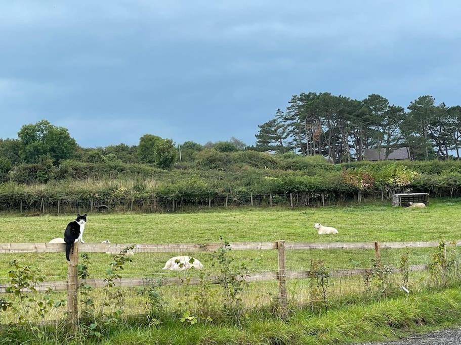 Tranquil, Secluded, Rural Cottage For Two Beaumaris Exterior foto